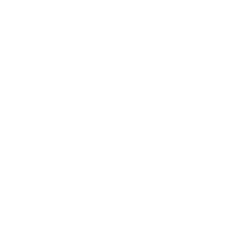 Detaillierte Analytics